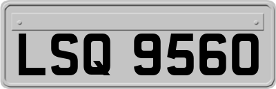 LSQ9560