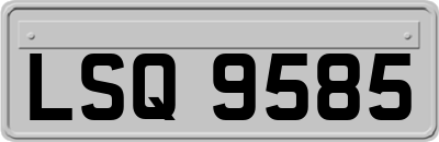 LSQ9585
