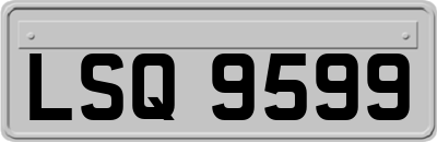 LSQ9599