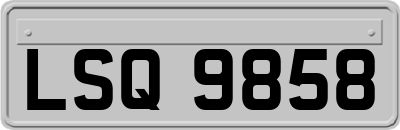 LSQ9858