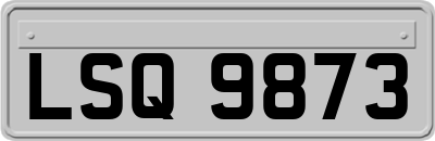 LSQ9873