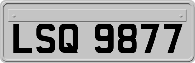 LSQ9877