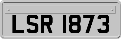 LSR1873