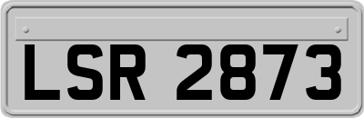 LSR2873