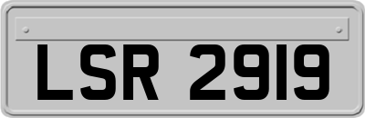 LSR2919