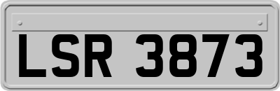 LSR3873