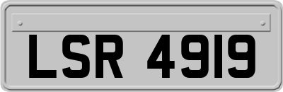 LSR4919