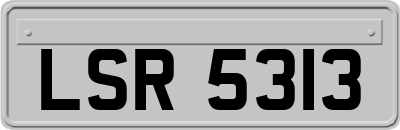 LSR5313