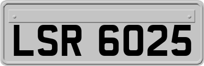 LSR6025