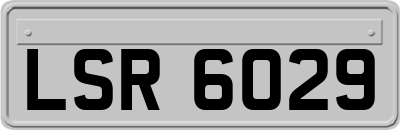 LSR6029