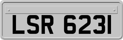 LSR6231