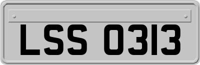 LSS0313