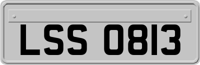 LSS0813