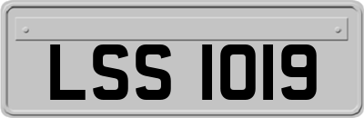 LSS1019