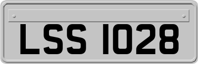 LSS1028