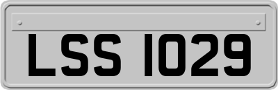 LSS1029