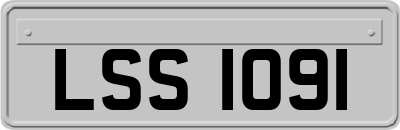 LSS1091