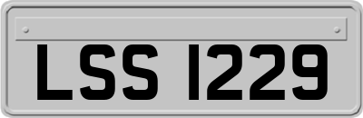 LSS1229