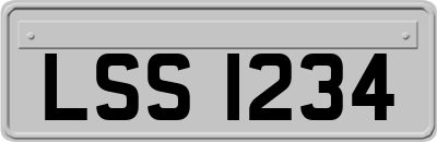 LSS1234