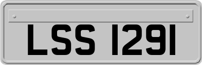LSS1291