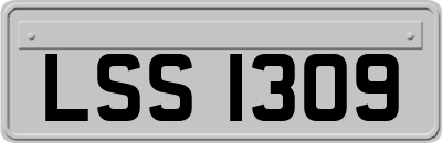 LSS1309