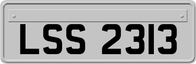 LSS2313