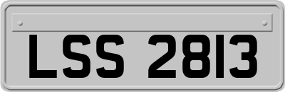 LSS2813