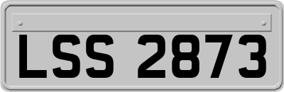 LSS2873