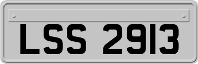 LSS2913