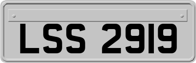 LSS2919