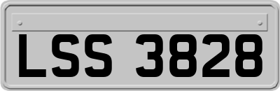 LSS3828