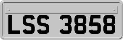 LSS3858