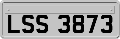 LSS3873