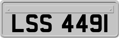 LSS4491