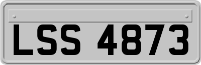 LSS4873