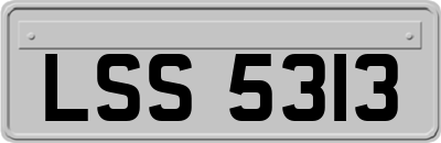 LSS5313