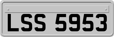 LSS5953