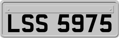 LSS5975