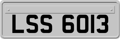 LSS6013
