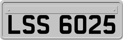 LSS6025