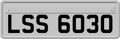 LSS6030