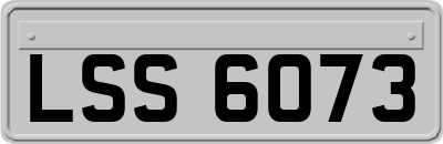 LSS6073