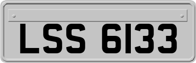 LSS6133