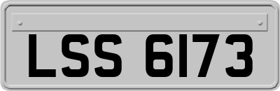 LSS6173