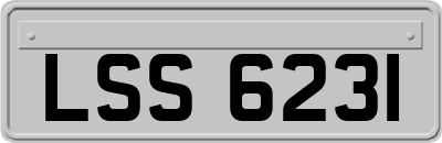 LSS6231