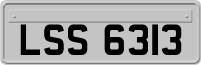 LSS6313