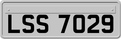 LSS7029