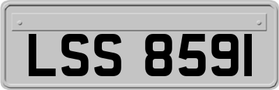 LSS8591