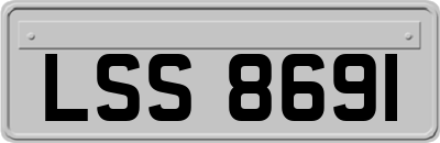 LSS8691