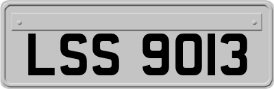 LSS9013